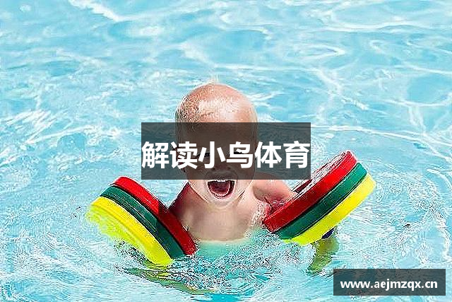 解读小鸟体育